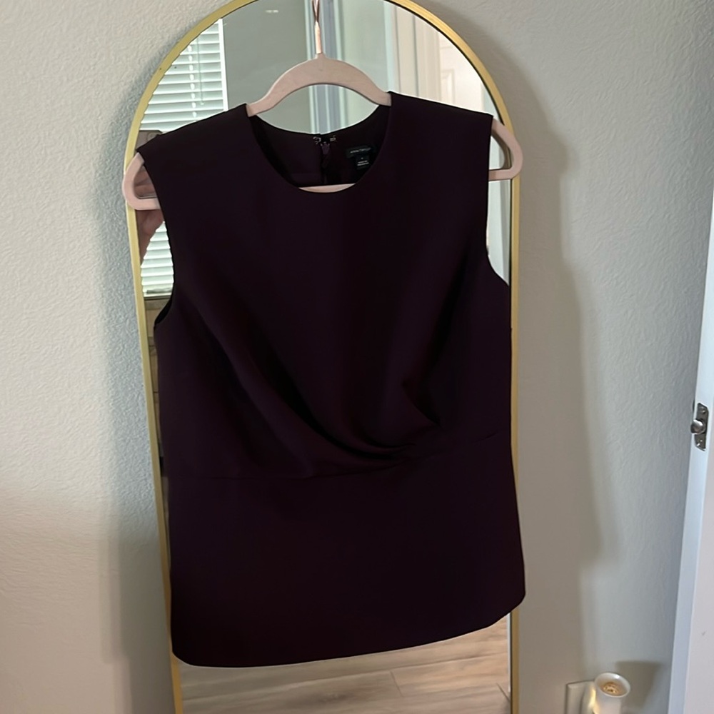 Ann Taylor Maroon Top